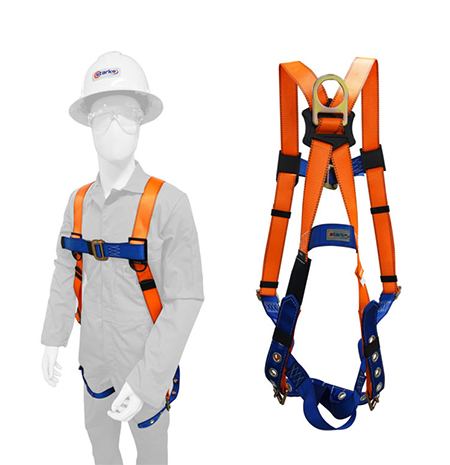 harness of a fall protection
